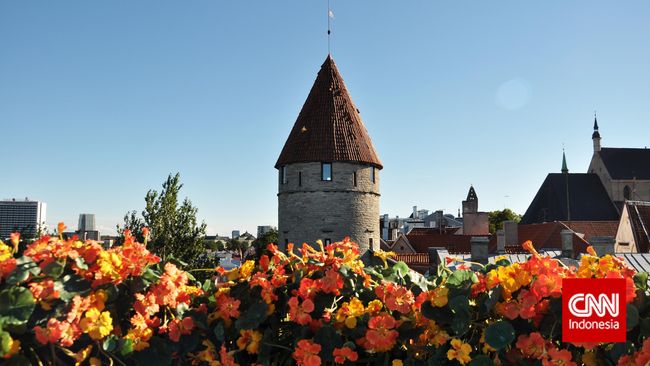 World Happiness Report 2019 menempatkan Finlandia sebagai negara paling bahagia di dunia.