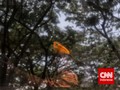 Potret Samar Pembela Bangsa