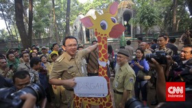 Ahok: Taman Margasatwa Ragunan Tak Diswastakan