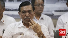 Luhut Buka-bukaan Soal Perkembangan Proyek Smelter di RI