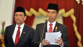 PMN Ditentang DPR,  Jokowi Utus Luhut Pandjaitan ke Senayan
