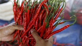 Harga Ayam dan Cabai Merah Anjlok Akibat Kebanjiran Pasokan