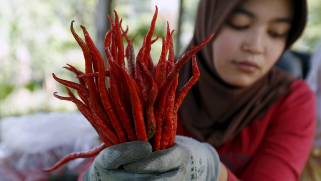 Daging ayam dan cabai merah menjadi dua komoditas pangan yang menyumbang deflasi terbesar akibat merosotnya harga sepanjang September 2015.