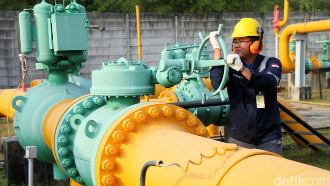 Harga gas bumi domestik saat ini berkisar US$ 9 hingga 10 per MMBTU, lebih mahal dibandingkan di Malaysia (US$3,69 per MMBTU ) dan Singapura (US$3,94 per MMBTU)