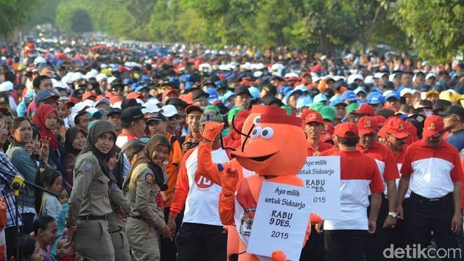 MK mengabulkan sebagian permohonan ajuan pakar komunikasi politik Effendi Gazali bertentangan dengan semangat UUD 1945, terkait satu pasangan calon di Pilkada.