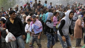 Sepanjang Agustus, Lebih dari 100 Ribu Imigran Tiba di Jerman