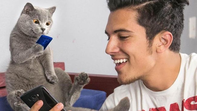 Beberapa video klip buatan Aaron Benitez yang diunggah di YouTube memperlihatkan aksi kucing dan satwa lain yang tak biasa dan mengundang tawa.