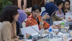 DPR Setujui Destry Damayanti Jadi Deputi Gubernur Senior BI