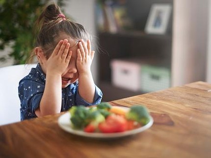 Menghadapi Anak yang Picky Eater
