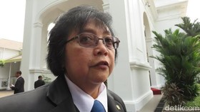 Pemerintah Selidiki Perusahaan Singapura Pembakar Hutan