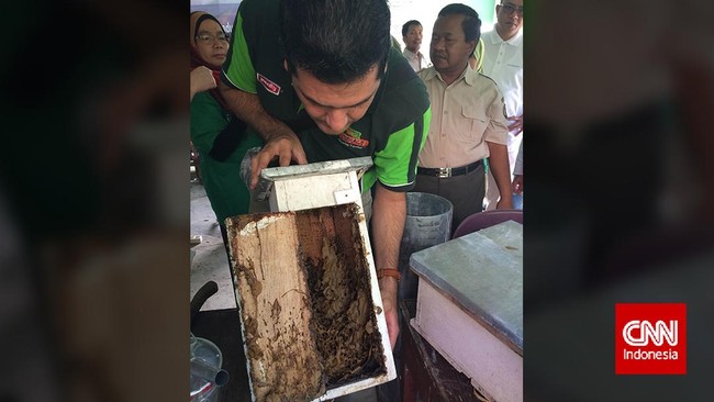 Propolis telah mampu diproduksi di daerah pelosok Kabupatan Pakpak Bharat, Sumatera Utara.