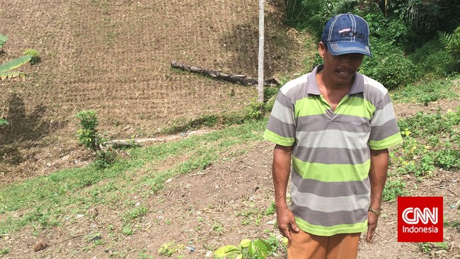 Indonesia berpotensi menyetop impor jagung asal ada dukungan kepada para petani dan tidak membiarkan petani terjepit oleh rantai distribusi yang panjang.