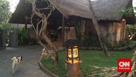 Larut dalam Romantisme Kemewahan Seni di Tugu Hotel Bali