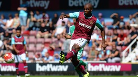 West Ham Mengaku Tak Takut Liverpool
