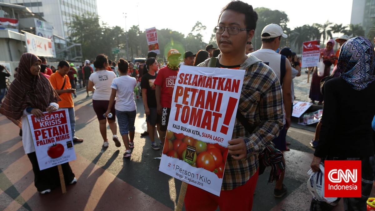 Makan Tomat Supaya Petani Tak Melarat
