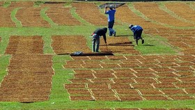 DPR Nilai Kenaikan Cukai Rokok Terlalu Dipaksakan