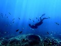 Gorontalo Rilis Belasan Acara Wisata, Menpar Merasa Kurang