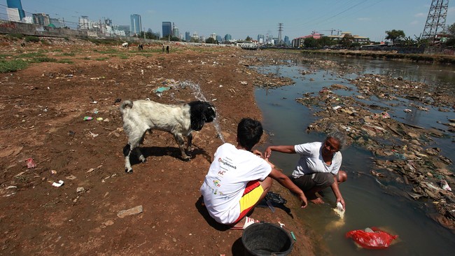 Pencemaran sungai dituding menjadi penyebab matinya ribuan sungai di kawasan Ancol, Jakarta Utara beberapa waktu lalu.