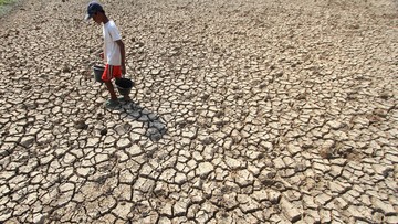 Kemarau 2026 Diprediksi Berlangsung 7 Bulan, El Nino Mulai A