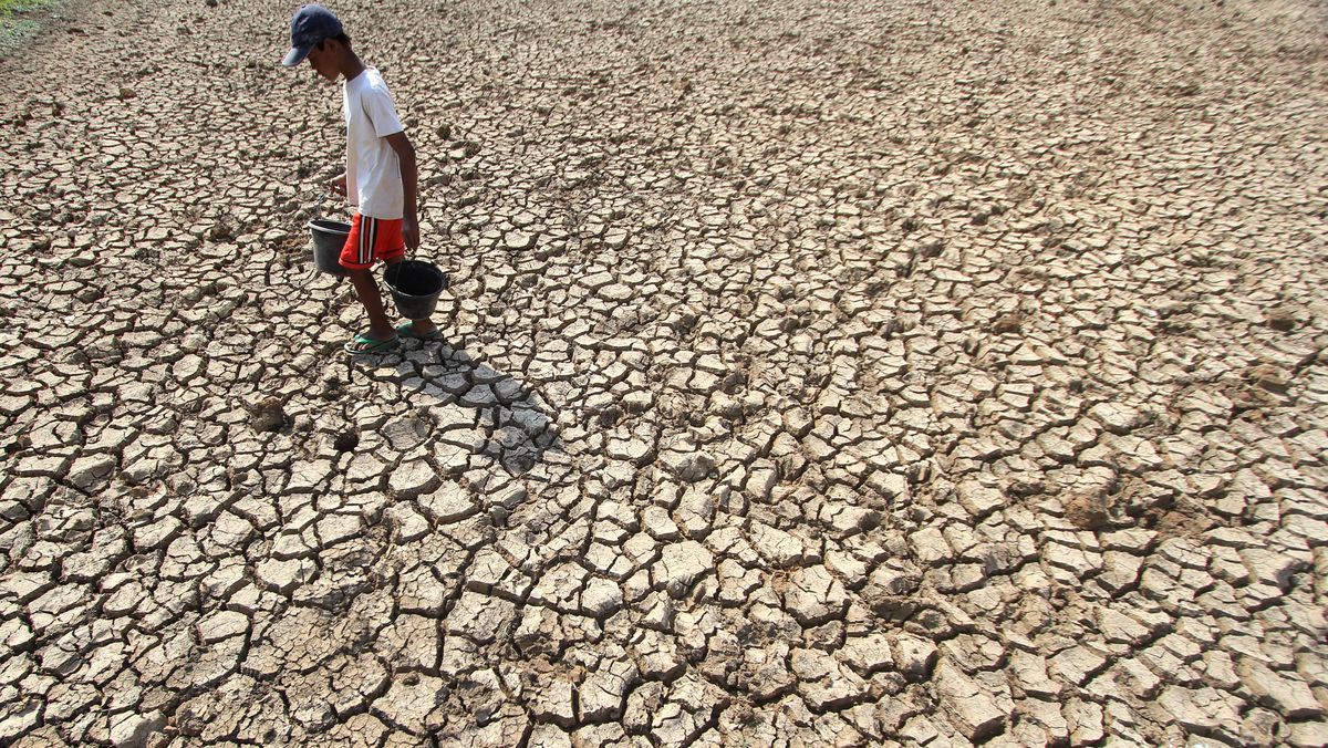 Kemarau 2026 Diprediksi Berlangsung 7 Bulan, El Nino Mulai Aktif