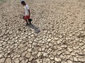 Kemensos Sebut NTT Masuk Daerah Rawan Pangan