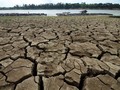 Chile Alami Kekeringan di Tengah Krisis Corona