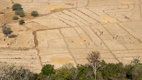 Gara-gara El Nino, 10 Daerah Berikut 'Lupa' dengan Ademnya Hujan