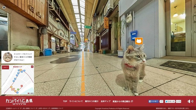 Bayangkan Anda adalah seekor kucing yang sedang berkeliaran di Jepang. Apa saja yang bisa dilihat, dan bagamaina rasanya?
