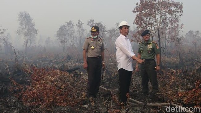 Dalam perjalanan menuju Kampar, Jokowi singgah di rumah Bung Hatta. Dari Kampar, Riau, malam nanti Jokowi akan bertolak ke Padang, Sumatra Barat.