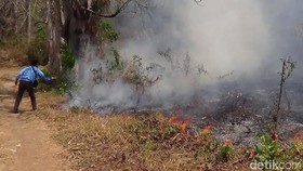 BNPB Siapkan Dana Rp385 Miliar untuk Atasi Kebakaran Hutan