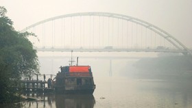 Menteri KLH Minta Lahan Terbakar Diberi Garis Polisi