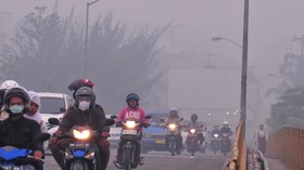 Kepala BNPB: Orang Sehat ke Riau Bisa Langsung Sesak