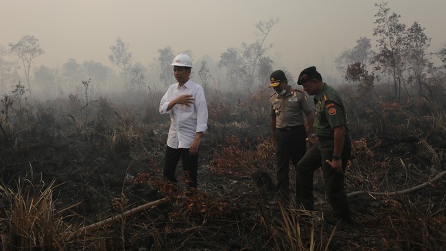 Kapolri Jenderal Badrodin Haiti juga mengatakan jumlah korporasi yang diduga terlibat bertambah dari 10 menjadi 24 per hari ini. 