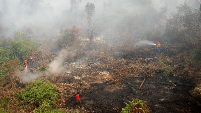 Api berkobar-kobar, menjulang ke langit. Lidah api mahadahsyat itu tak padam meski dijatuhi bom air. Kebakaran hutan menjelma jadi masalah terbesar pemerintah.