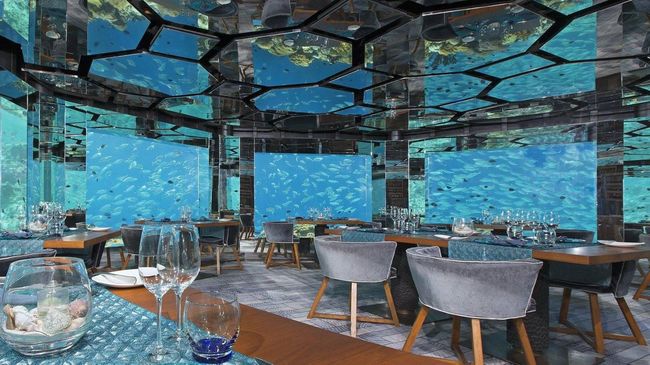 Masih banyak pengalaman makan yang bisa Anda dapatkan di seluruh dunia, seperti restoran bawah laut. Berikut lima restoran unik dari penjuru dunia.