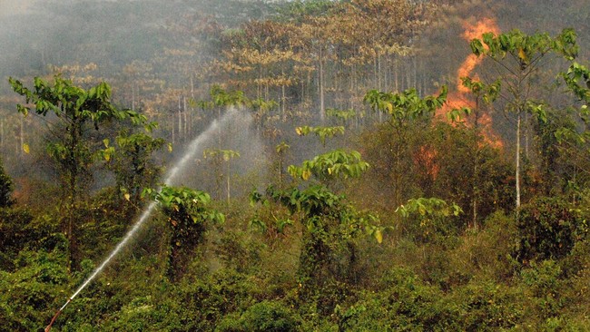 Waktu bak berhenti bagi Dulman. Ia bekerja padamkan api dari pukul 13.00 hingga 08.00 WIB keesokannya. Dulman pun tumbang, pergi di tengah kepungan api.