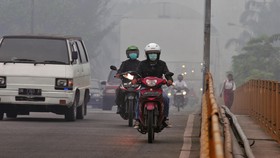 BNPB: Titik Panas Kebakaran Hutan Meningkat Jadi 1.887 Lokasi