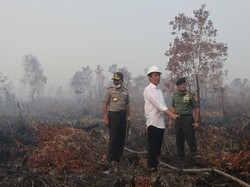 Pasal Sakti Penjerat Pembakar Hutan Dihapus di Omnibus Law, Walhi: Konyol!