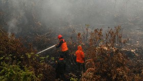 Polri: Cabut Izin Perusahaan Pembakar Hutan Hak Kemenhut
