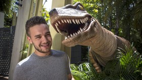 Merokok di Kabin Pesawat, Liam Payne Dimaki Ribuan Penggemar