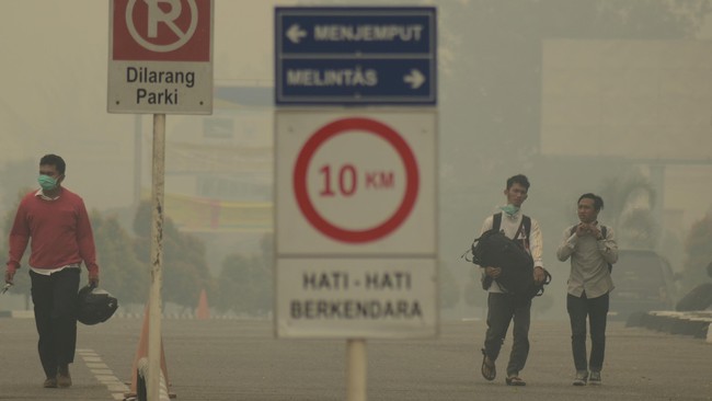 Presiden Jokowi menginstruksikan penegak hukum untuk mencabut izin hak pengelolaan hutan kepada perusahaan-perusahaan yang terlibat pembakaran lahan.