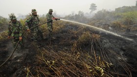 TNI Tambah Personel untuk Padamkan Kebakaran Hutan dan Lahan