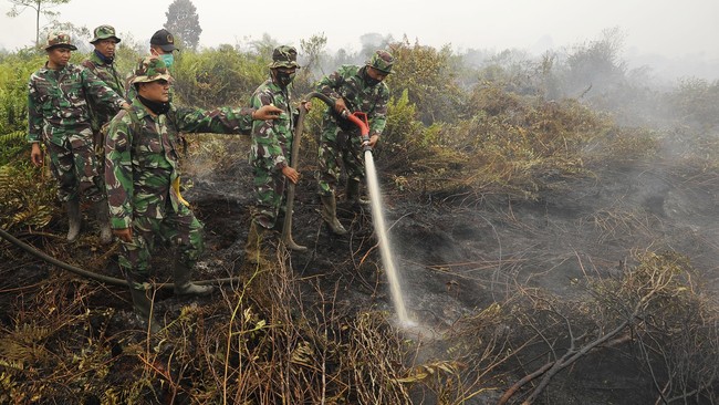Singapura menawarkan bantuan untuk memadamkan api yang melalap hutan di Riau, setelah kepulan asap mulai sampai ke wilayahnya dan Malaysia.