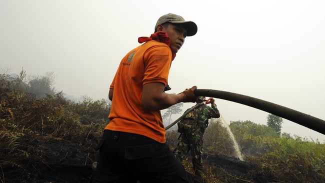 Presiden Jokowi, di sela lawatannya ke Timur Tengah, memerintahkan Menteri Siti dan Kapolri untuk bertindak cepat: cabut izin perusahaan pembakar lahan.