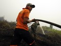 Polisi Sudah Tangani 48 Kasus Kebakaran Hutan Tahun Ini