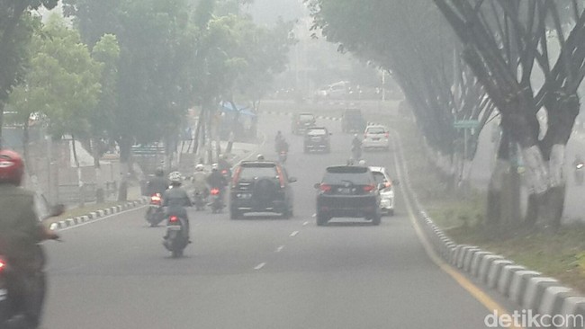 20 pesawat yang pemerintah kerahkan untuk menciptakan hujan buatan dan pengeboman air saat ini dinilai sudah cukup untuk menjinakan api di hutan.