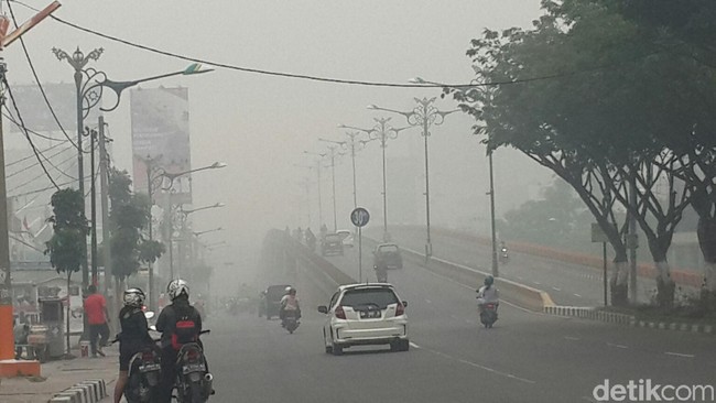 Saat ini ada sekitar 15 bandara di Sumatra dan Kalimantan yang memberikan data bahwa jarak pandang di sana cukup minim.