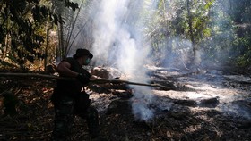 Menteri Siti Janji Segera Hukum Perusahaan Pembakar Hutan
