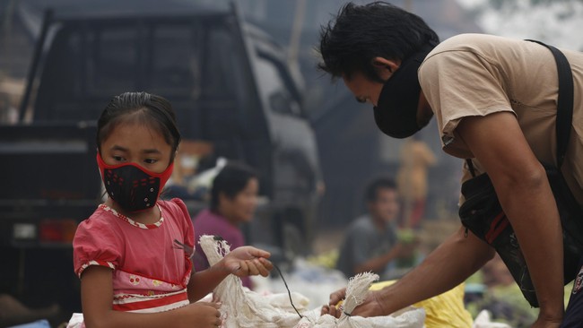 Selain PT Langgam Inti Hibrida yang bergerak di minyak kelapa sawit, Polda menetapkan 40 individu sebagai tersangka pelaku pembakaran hutan di Riau.