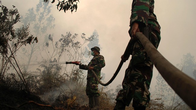 Tindakan tegas terhadap pelaku pembakaran hutan atau lahan diterapkan oleh pemerintah. Selain mencabut izin usaha, juga dimasukkan dalam daftar hitam.